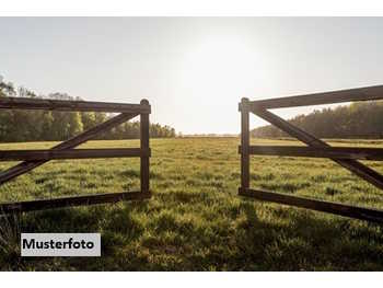 Landwirtschaftsgrund Auerbach