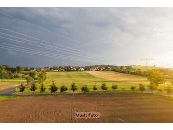 Landwirtschaftsgrund Auerbach