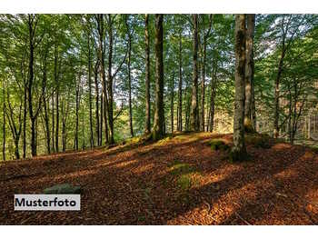 Landwirtschaftsgrund Bad Fischau
