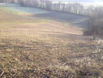 Landwirtschaftsgrund Graz