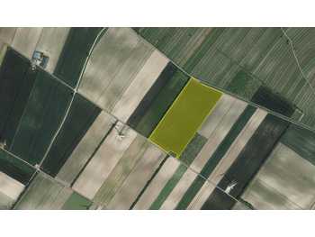 Landwirtschaftsgrund Höflein