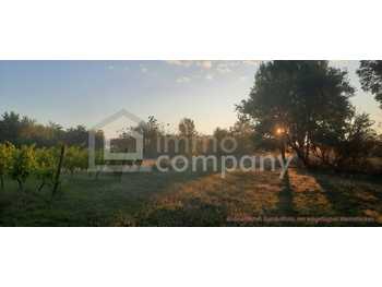 Landwirtschaftsgrund Illmitz