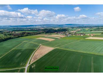 Landwirtschaftsgrund Illmitz