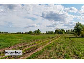Landwirtschaftsgrund in Illmitz