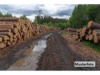 Landwirtschaftsgrund in Kemeten