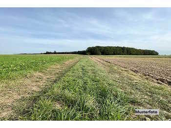 Landwirtschaftsgrund in Kirchberg in Tirol