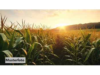 Landwirtschaftsgrund Kirchberg in Tirol