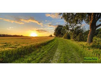 Landwirtschaftsgrund Kukmirn