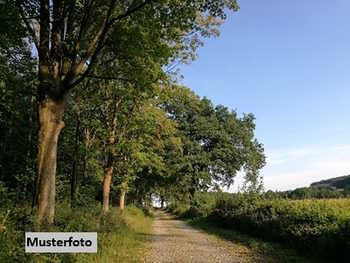 Landwirtschaftsgrund Leutasch