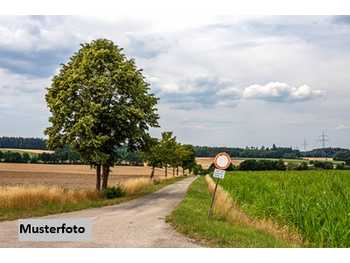 Landwirtschaftsgrund in St. Lorenzen am Wechsel