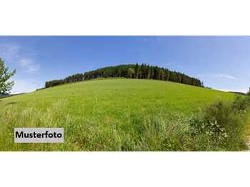 Landwirtschaftsgrund St. Lorenzen am Wechsel