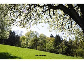 Landwirtschaftsgrund Silbertal