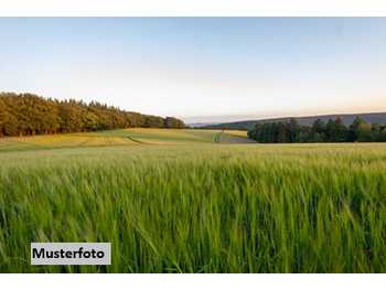 Landwirtschaftsgrund in Silbertal