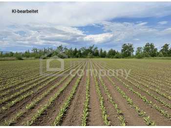 Landwirtschaftsgrund Sollenau