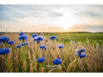Landwirtschaftsgrund in St.Gerogen am Walde