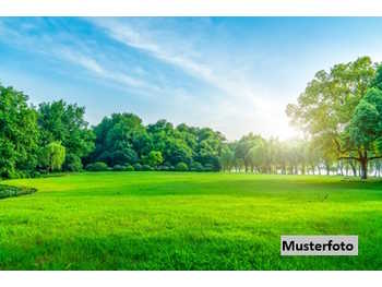 Landwirtschaftsgrund in St. Johann in Tirol