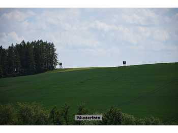 Landwirtschaftsgrund in Loipersdorf