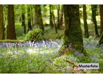 Landwirtschaftsgrund Straß in Steiermark