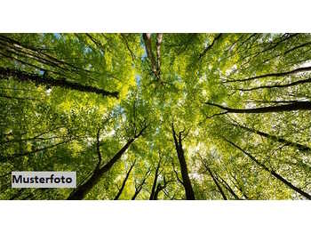 Landwirtschaftsgrund Straß in Steiermark