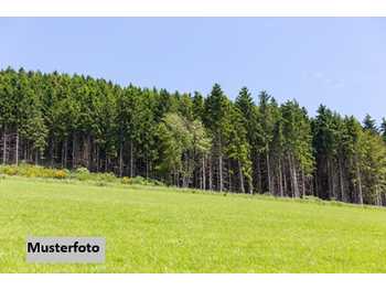 Landwirtschaftsgrund Uttendorf