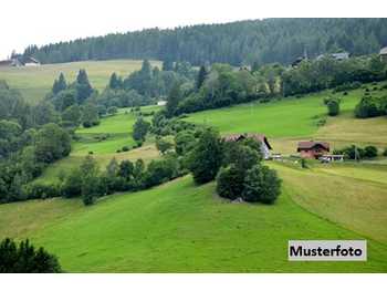 Landwirtschaftsgrund St. Martin am Silberberg 14