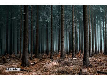 Landwirtschaftsgrund Zahling