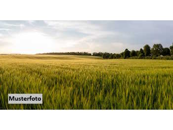 Landwirtschaftsgrund Zistersdorf