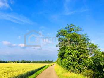 Landwirtschaftsgrund Zurndorf