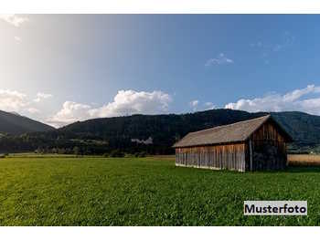 Landwirtschaftsimmobilie Deutschlandsberg