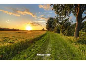 Landwirtschaftsimmobilie in Enzersdorf bei Staatz