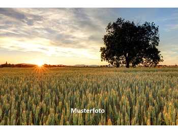 Landwirtschaftsimmobilie in Enzersdorf bei Staatz