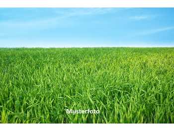 Landwirtschaftsimmobilie Erdweis