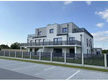 Mietwohnung in Bruck an der Leitha