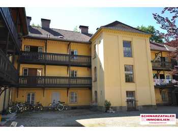 Wohnung zur Miete in Gemeinde Ternitz - Trovit