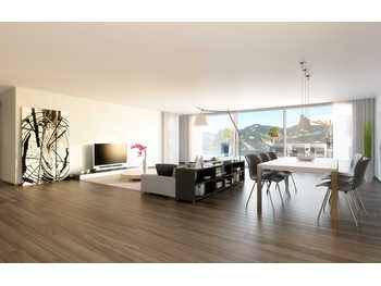 Penthouse Graz
