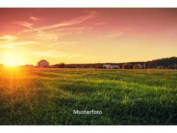 Weinbau in Enzersdorf bei Staatz