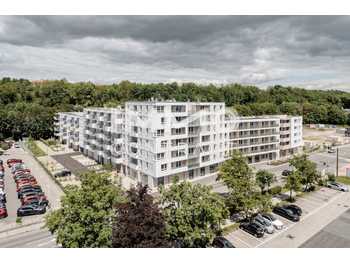Wohnung St. Pölten